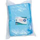 NorthShore Economy Disposable Chux Underpads